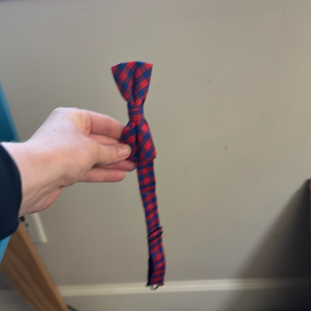 Boys bow tie